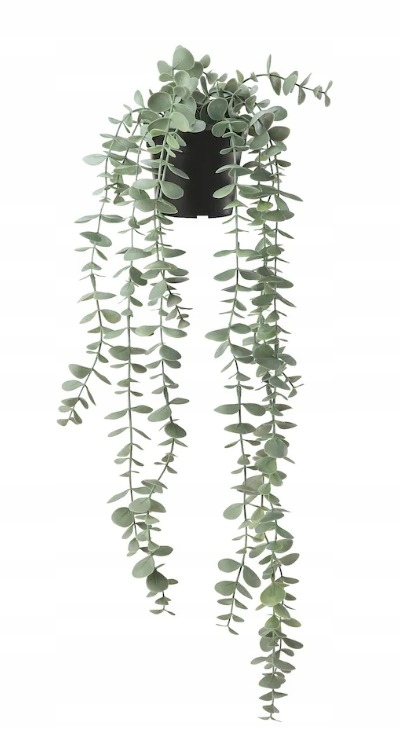 

Ikea Fejka Sztuczna roślina doniczkowa eukaliptus