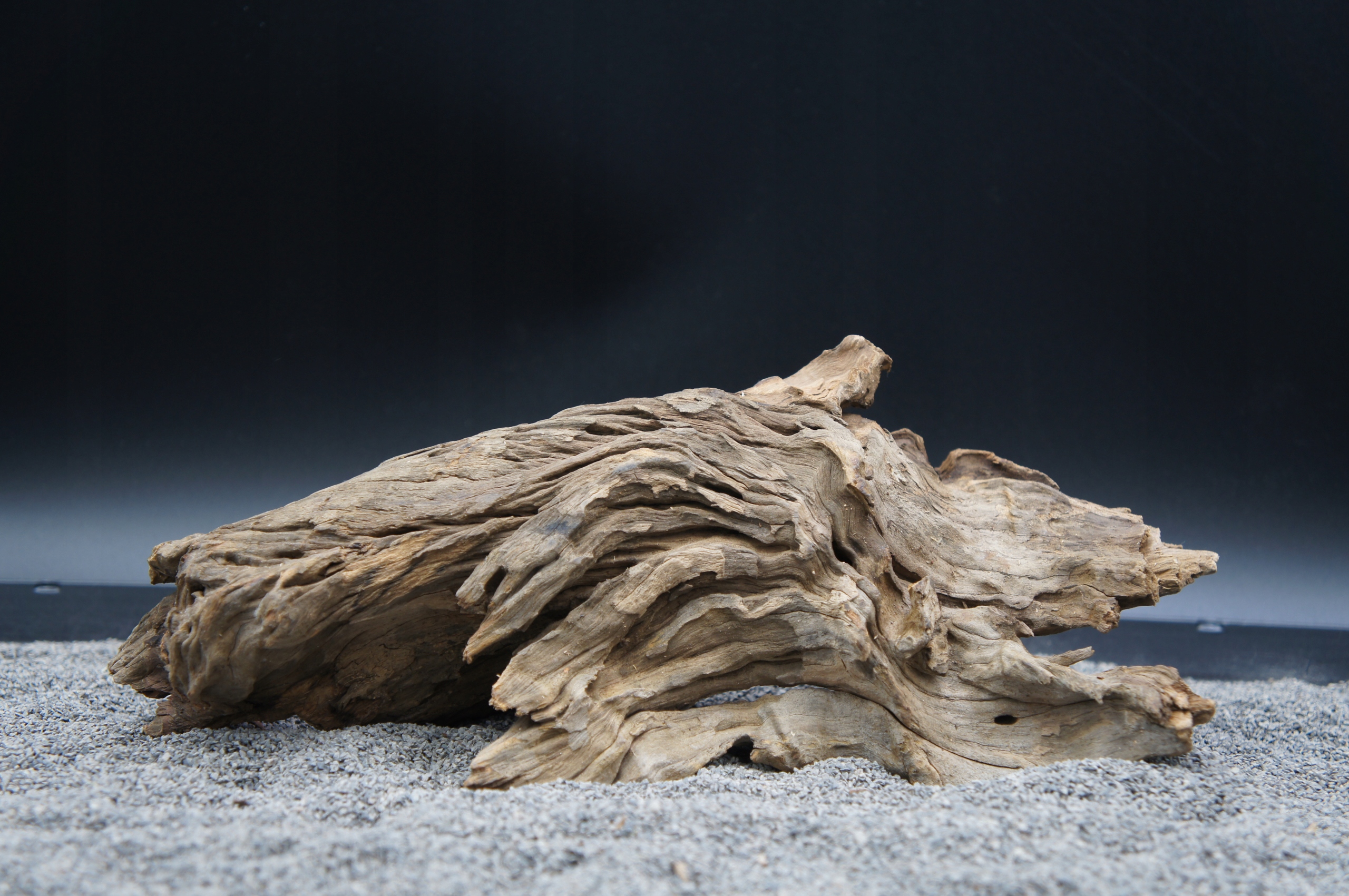 Levně Kořen pro terarijní akvárium Jagged Wood – Přesně Jako Na Obrázku (J48)