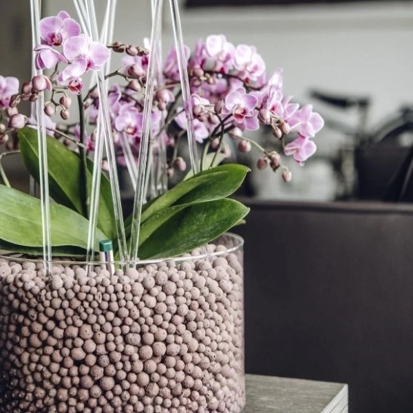 Keramzyt Kremowy 8-16 mm 0,8L Kolor inny kolor