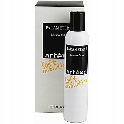 Pěna na vlasy Artego Parameter 300 ml