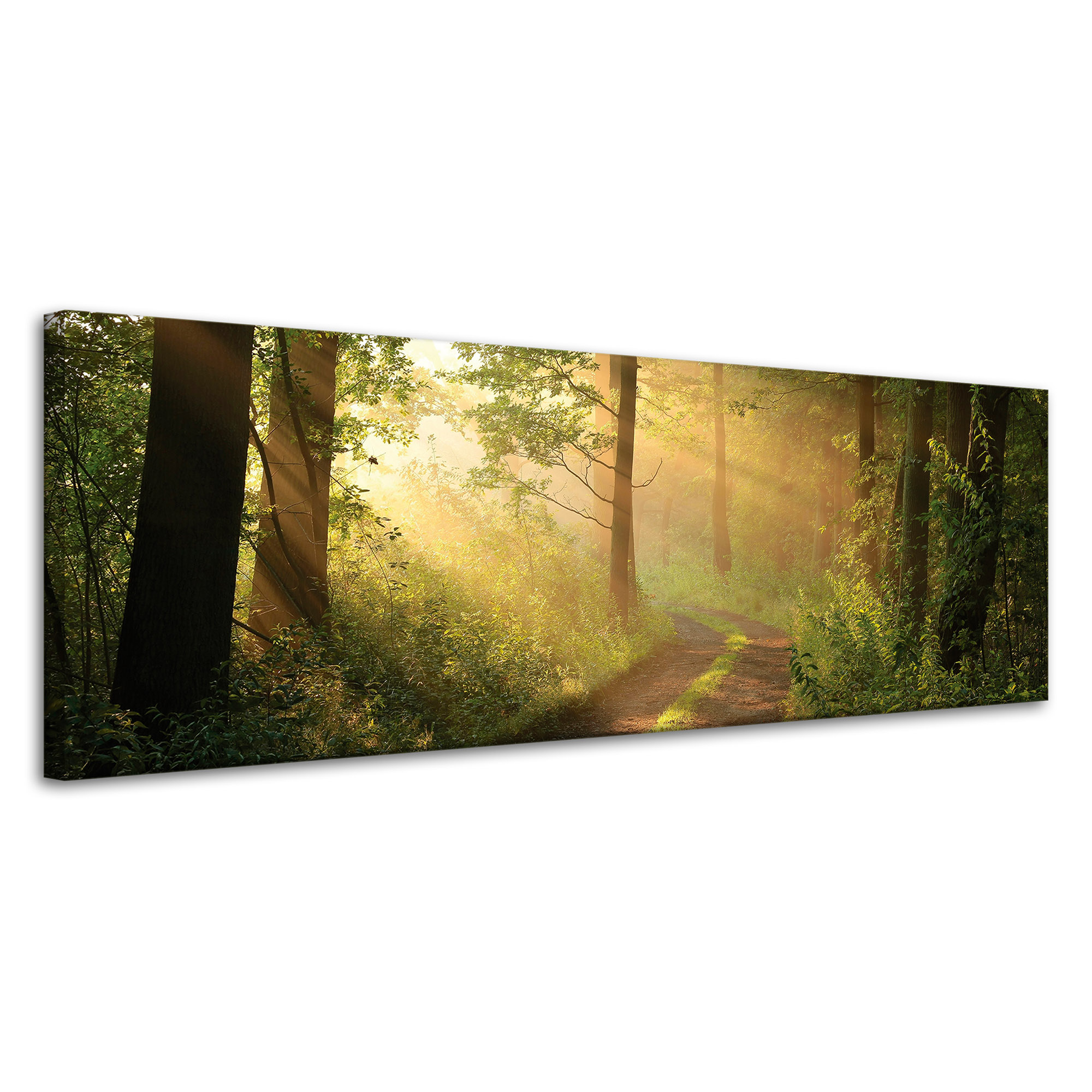 Obraz na plátně Světlo Slunce Les Stezka Příroda 120x40 cm