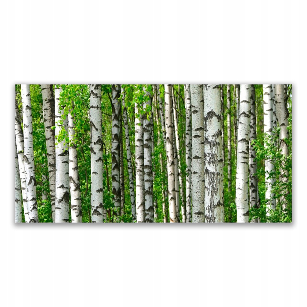 

Obraz na ścianę 120x60 Las Roślina Natura Drzewa