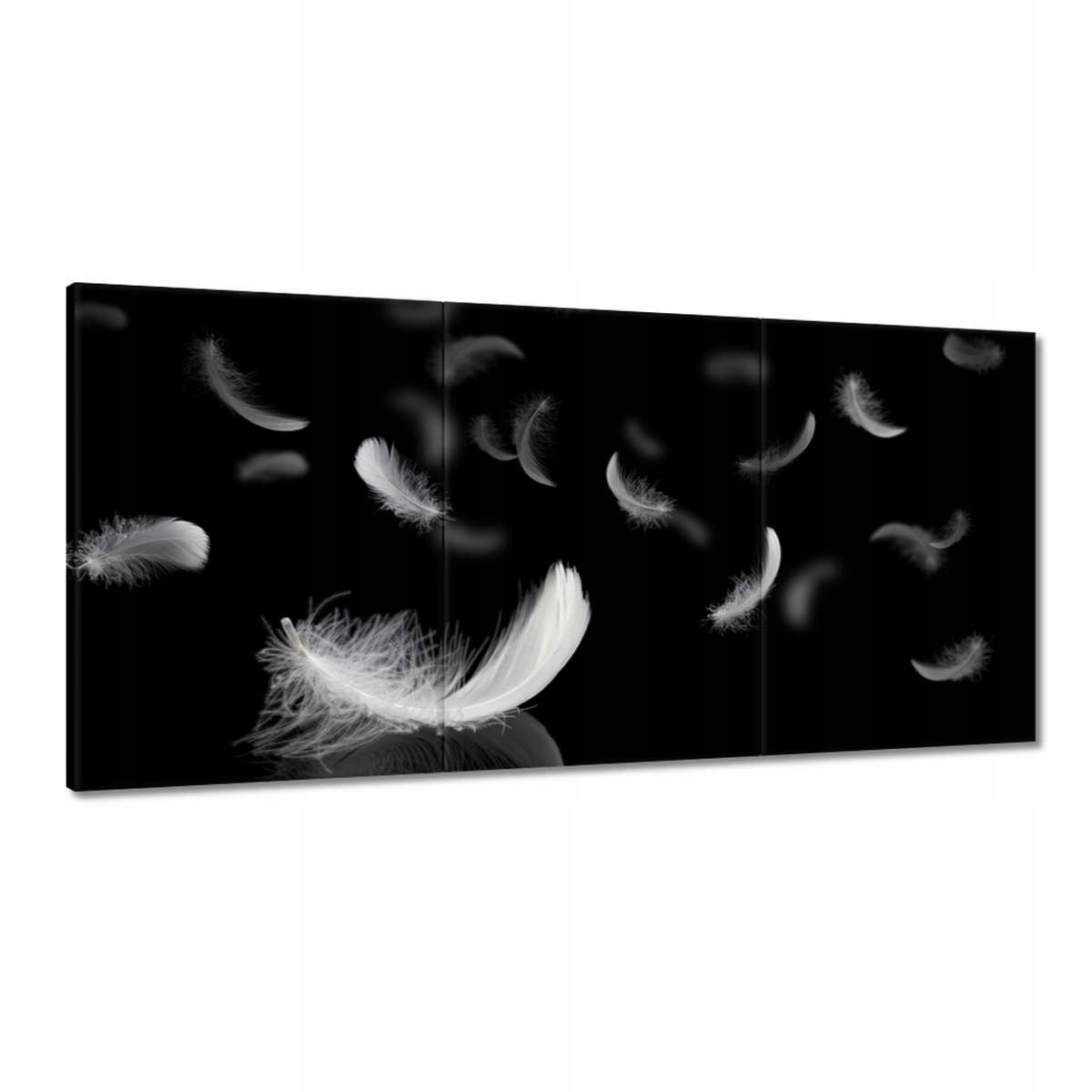 Obrazy 180x90 Padajúce biele perie