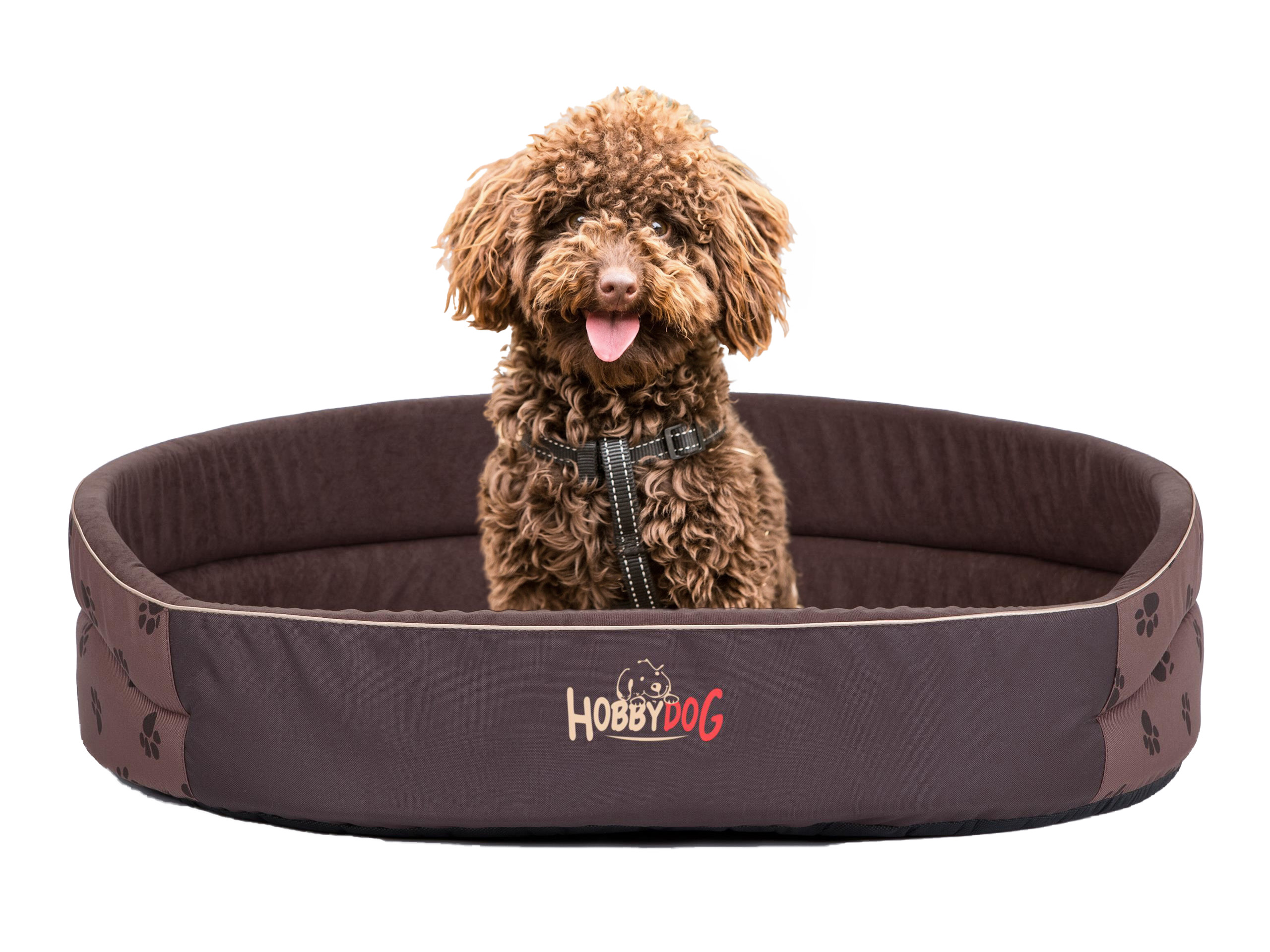 Levně Pelíšek, pelíšek pro psa, R7: 76x62 cm