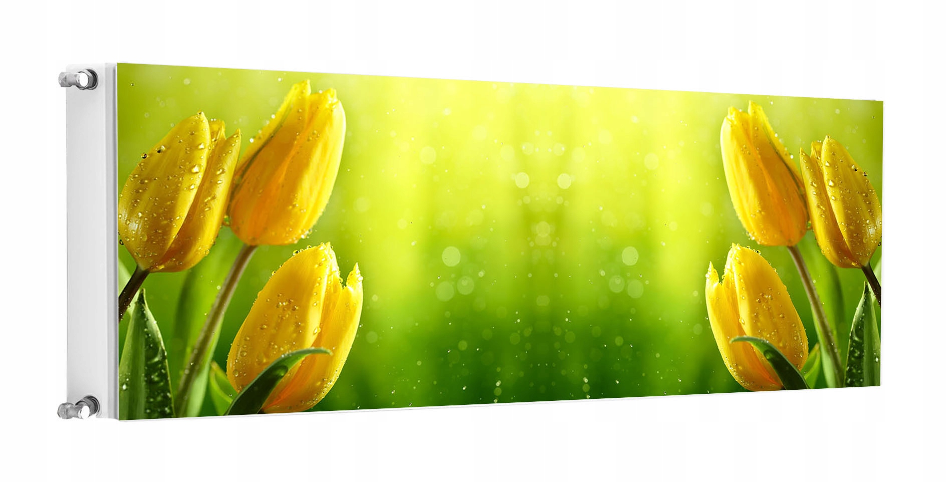 Magnetka Magnetická Podložka Na Radiátor 160x60 Tulipány