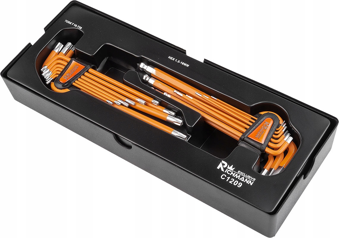 RICHMANN KLUCZE TORX IMBUS WKLAD S2 WALIZKA C1209 Marka Richmann