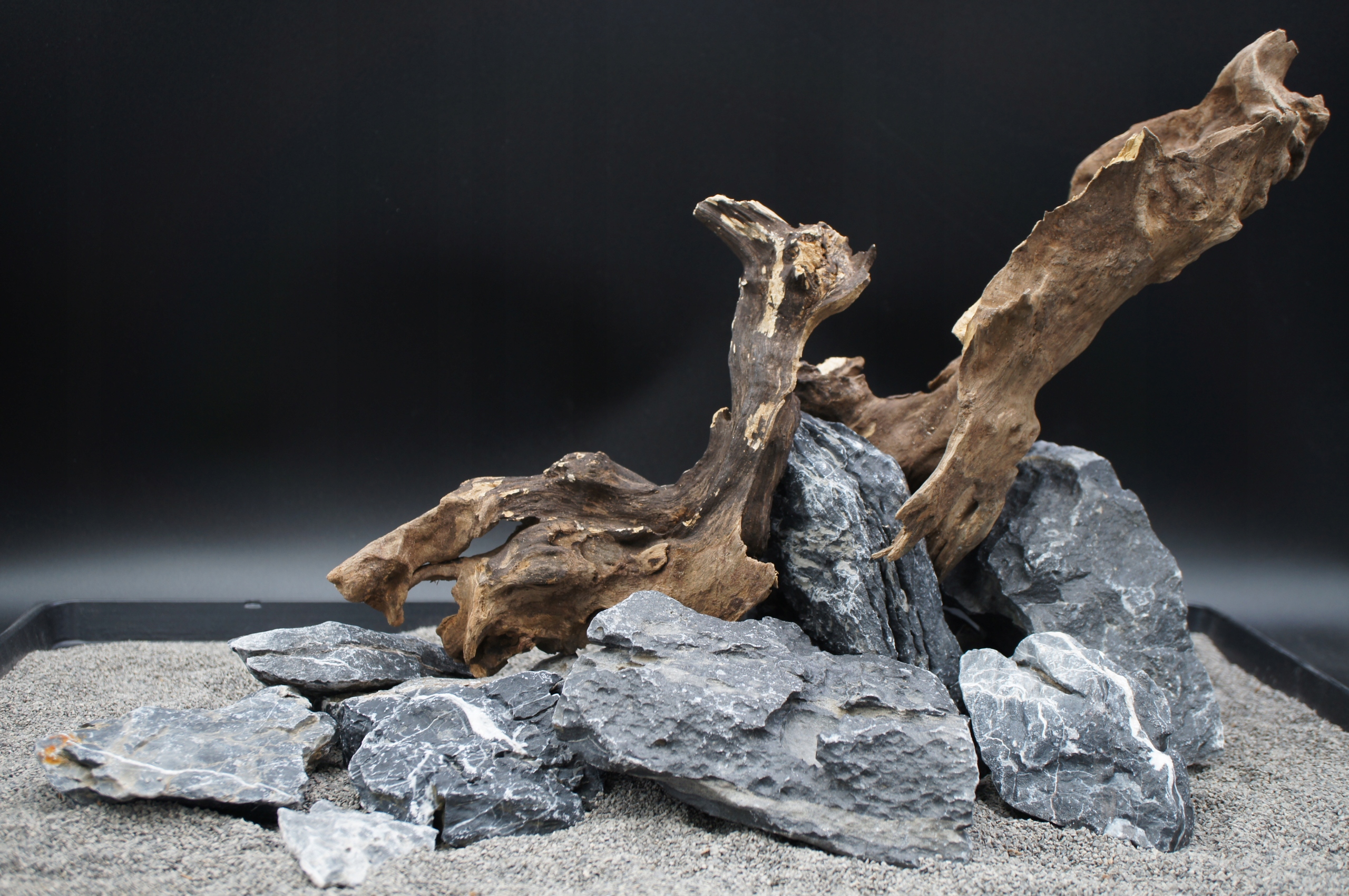 Skała scenery stone Black kořen jagged wood Set Z Fotografie (A6)