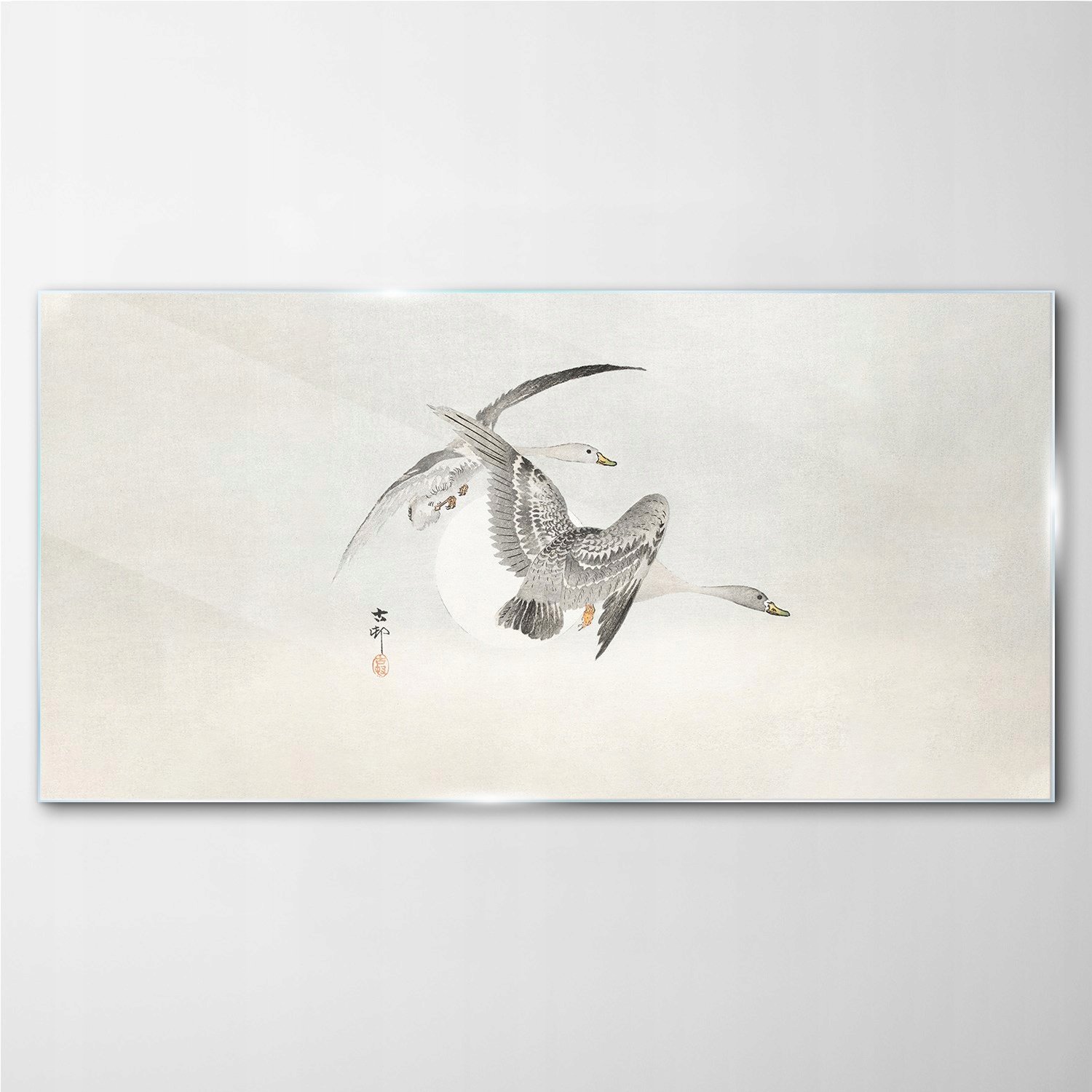 

Obraz szklany Zwierzęta ptaki gęsi niebo 100x50 cm