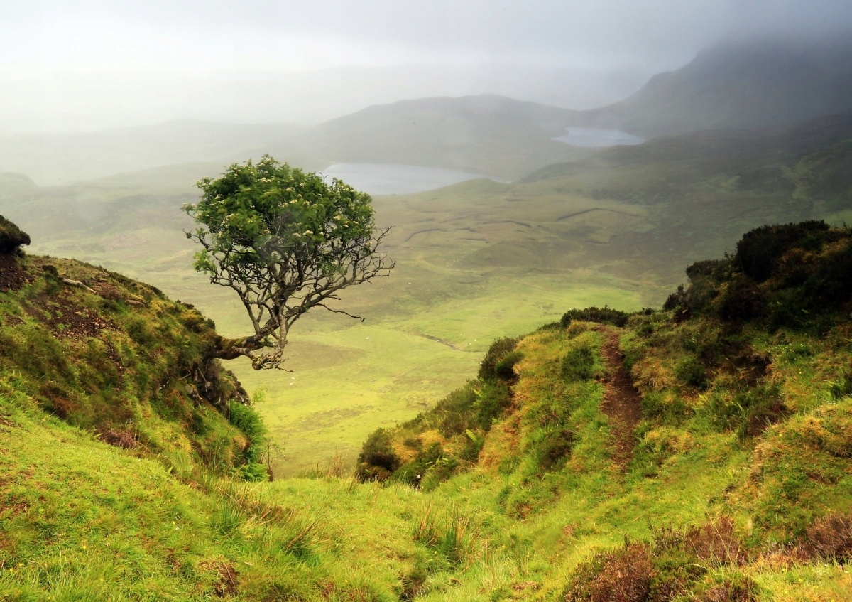 

Fototapeta Flizelinowa Wyspa Skye Szkocja 312x219