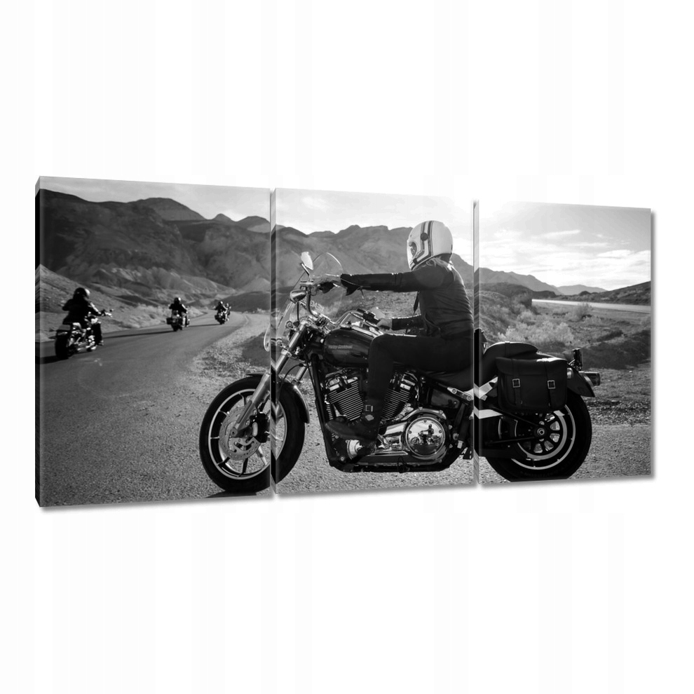 

Obrazy 120x60 Harley Davidson Motocykl