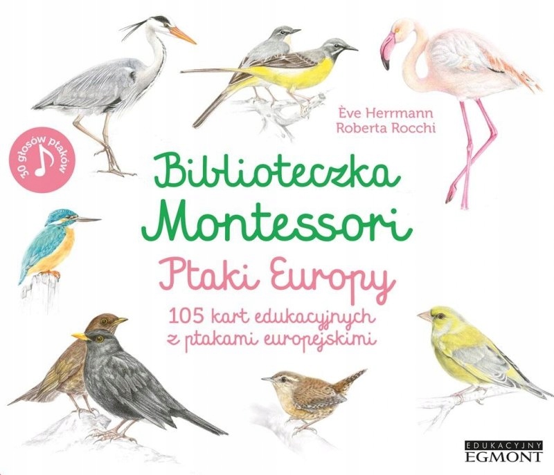 Biblioteczka Montessori Ptaki Europy 