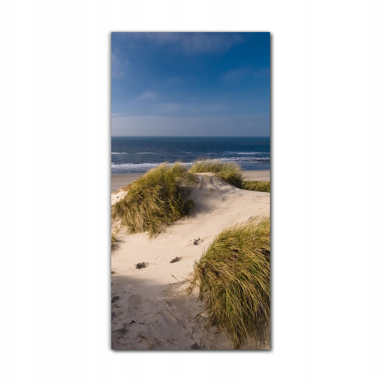 

Foto na szkle grafika 70x140 Wybrzeże palmy woda