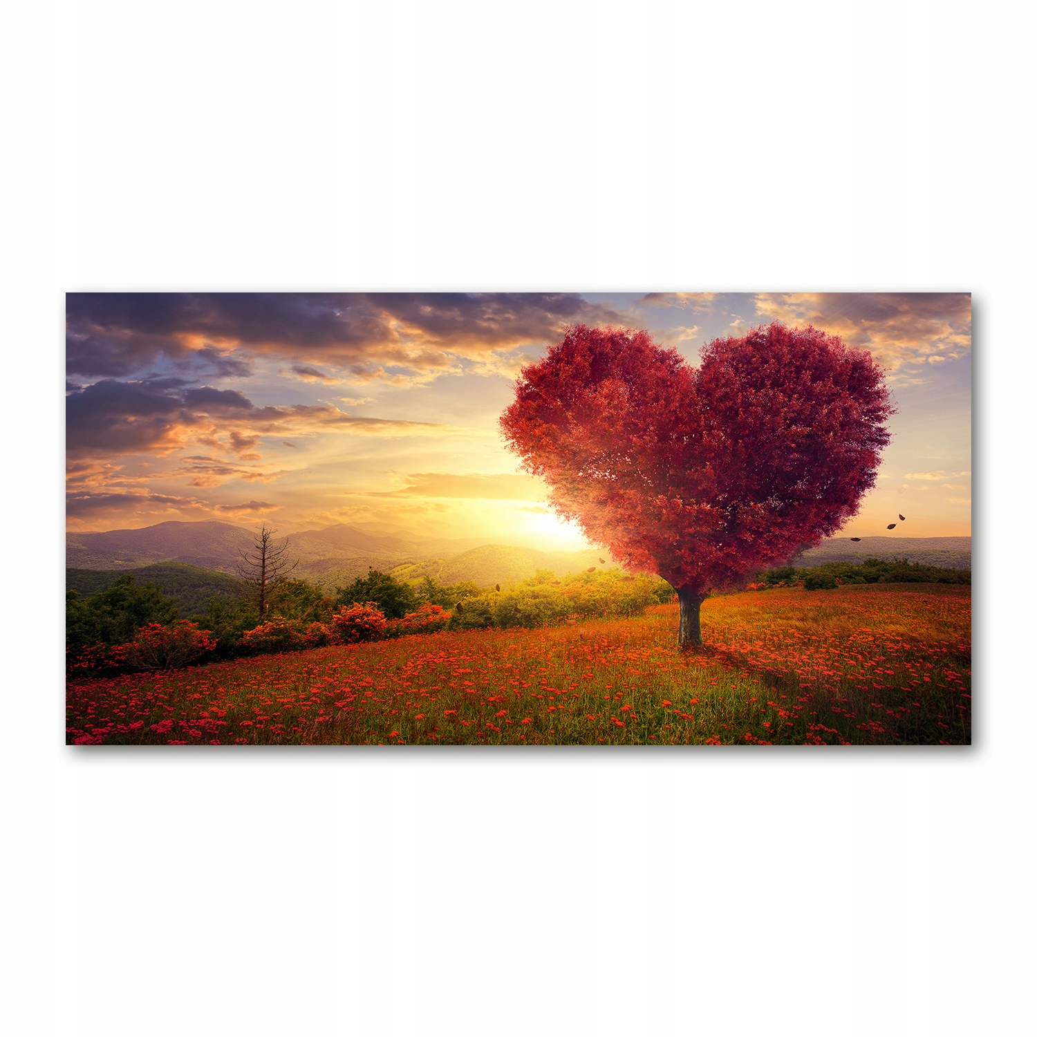

Foto obraz szkło akryl Drzewo pole serce 120X60 cm