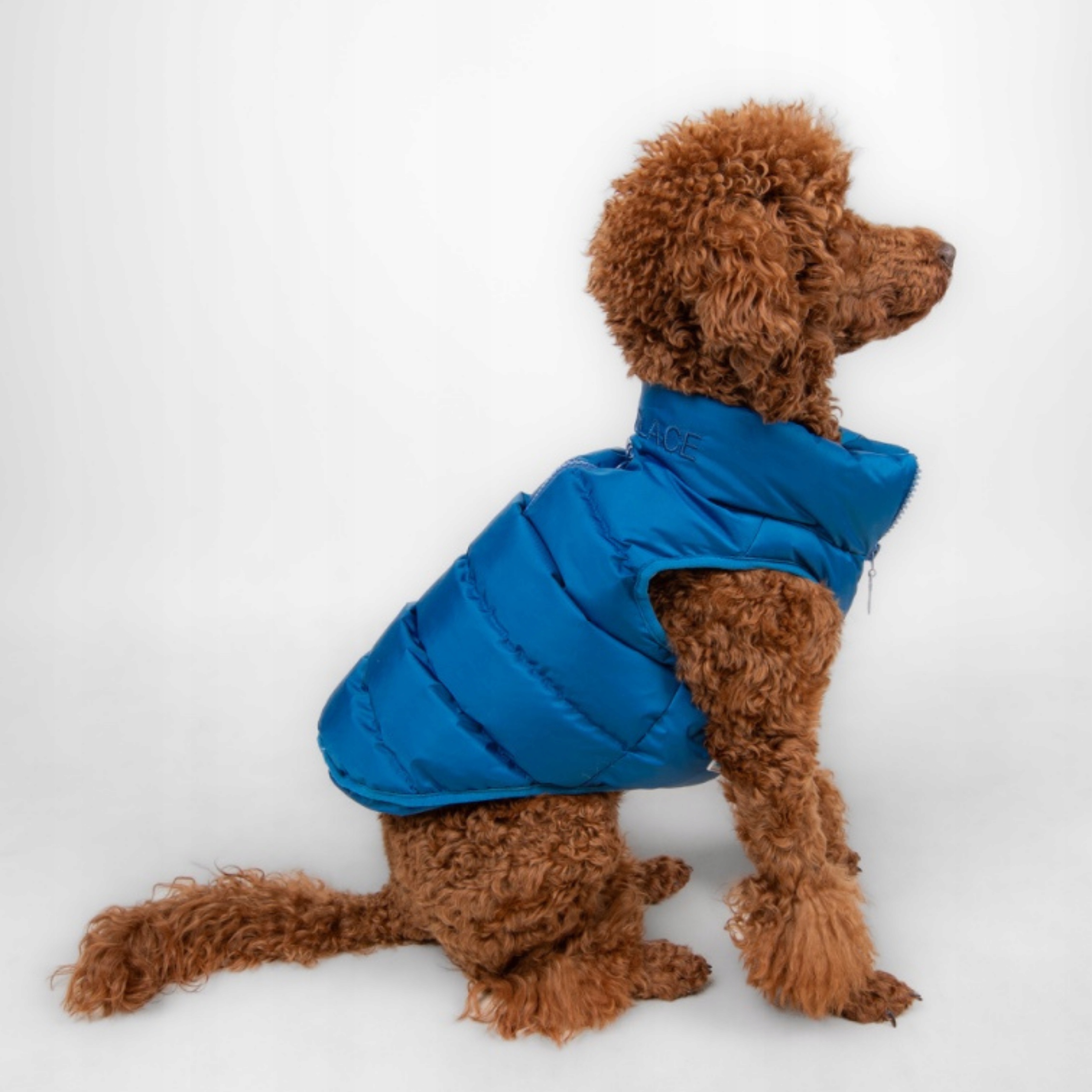 Bunda Péřová Vesta Voděodolná Zip Schnauzer Cavalier XL