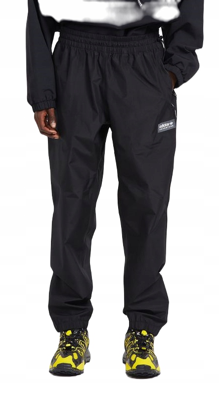 Spodnie męskie Adidas Gore-tex Adventure Premium Pant Gore-tex IC2343