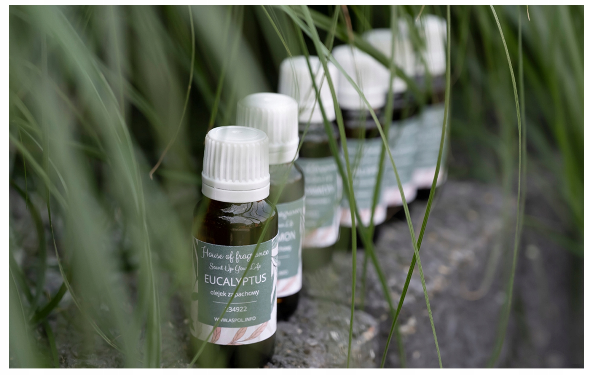 Zapach Punch (N) 10 ml Kod producenta 7175 7605