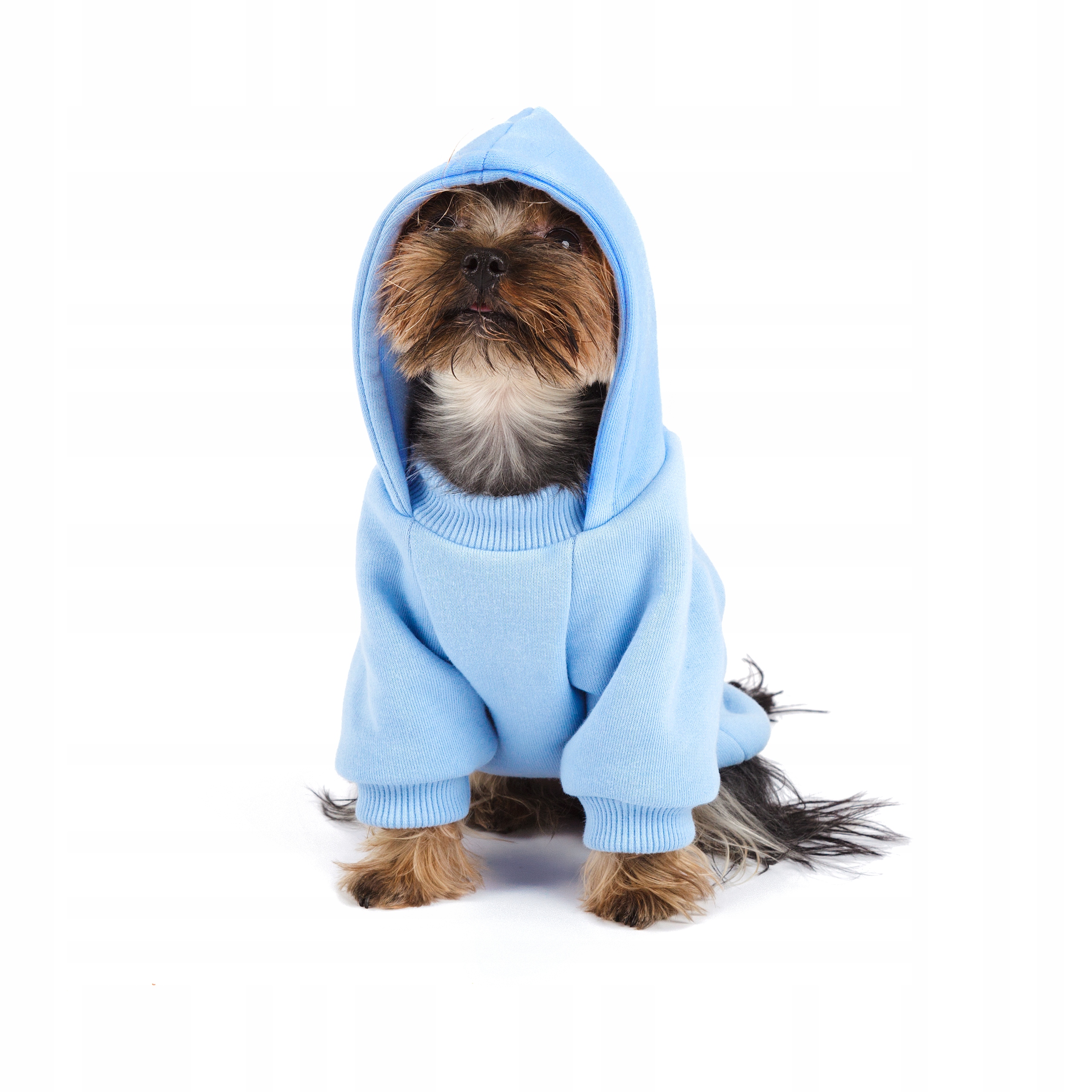 Levně Mikina Beloved Dog Mikina S