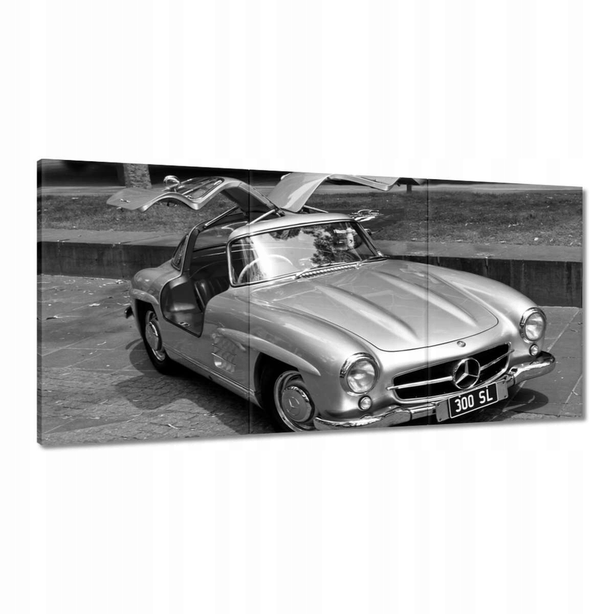 Obrazy 180x90 Mercedes Gullwing 300SL