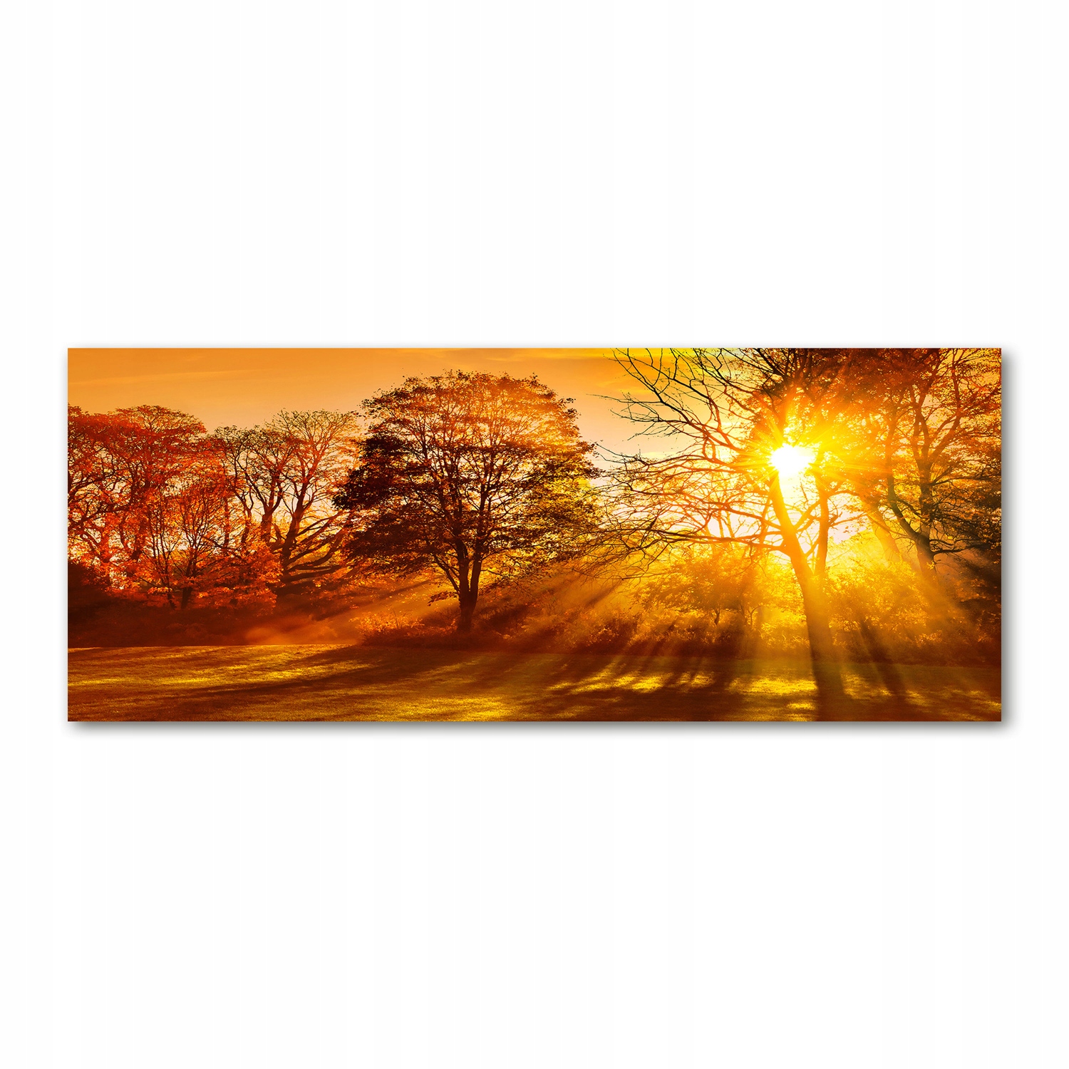 

Foto obraz akryl zdjęcie Zachód słońca 125x50 cm