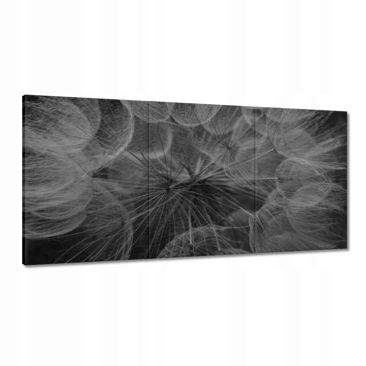 Obrazy 180x90 Púpava Kvet Kvety