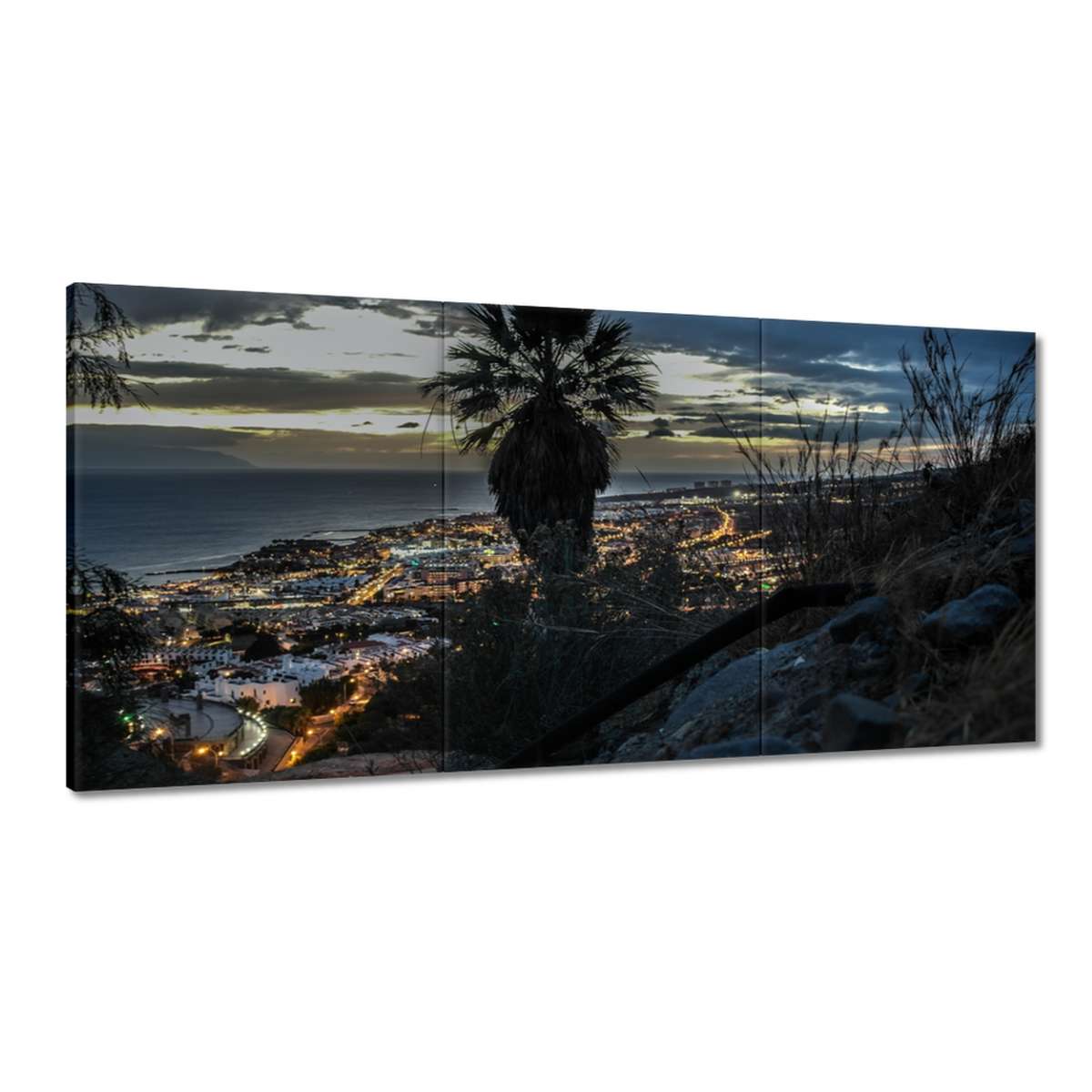 Obrazy 180x90 Krajina s palmou