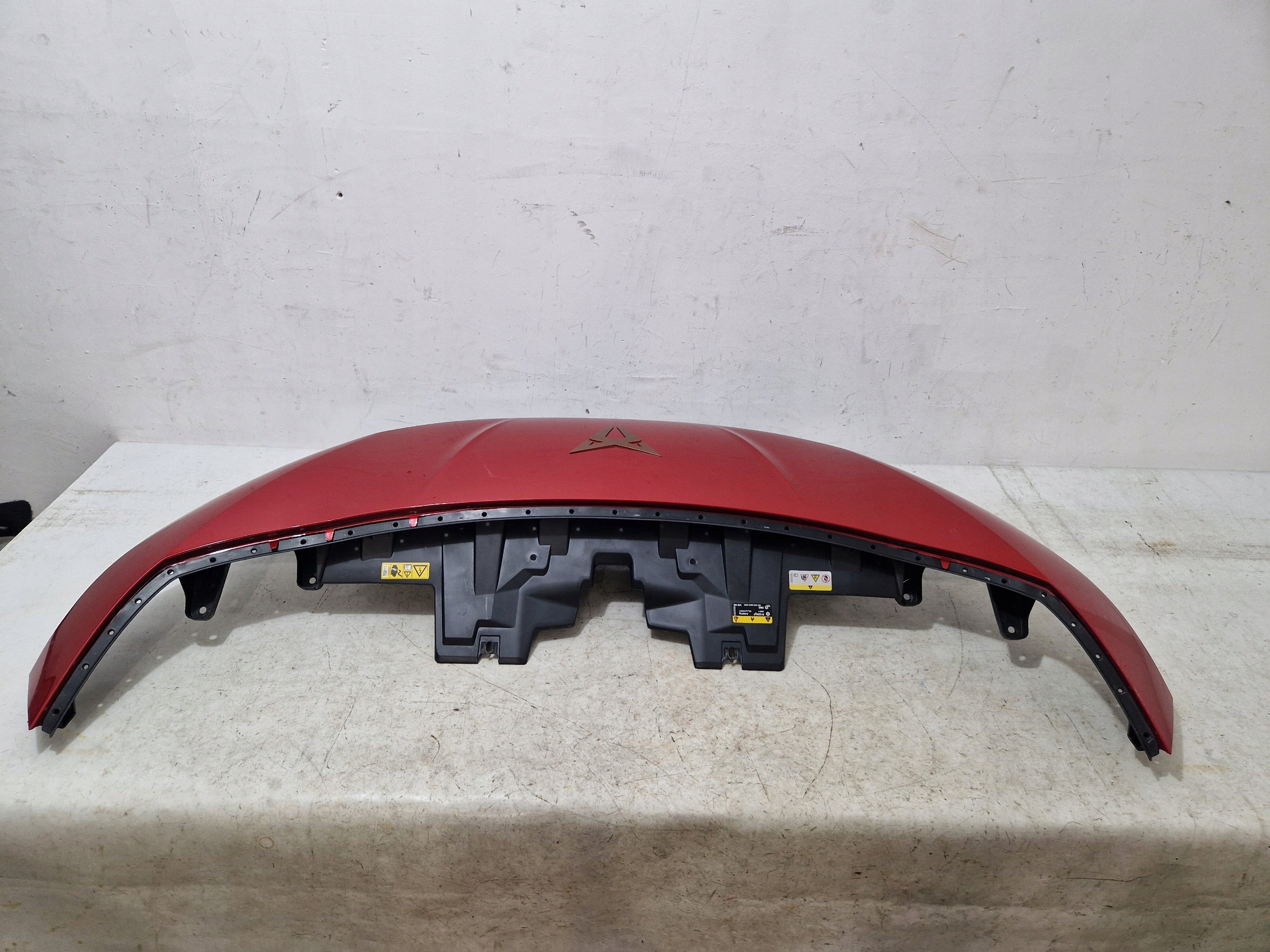 CUPRA BORN Parte superiore Paraurti Griglia 10E807217H