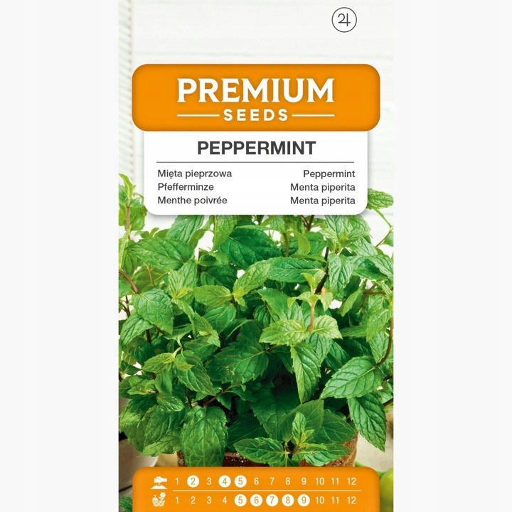 СЕМЕНА ПЕРЕЧНОЙ МЯТЫ ПЕРЕЧНАЯ СПЕЦИИ PREMIUM SEEDS POT 0,1 Г