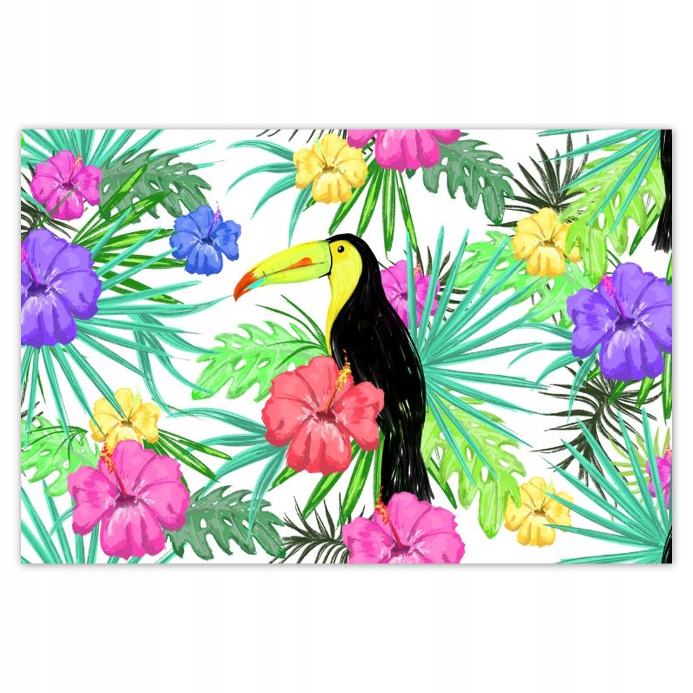 

Plakaty 93x62 Monstera Tukan Hibiskus