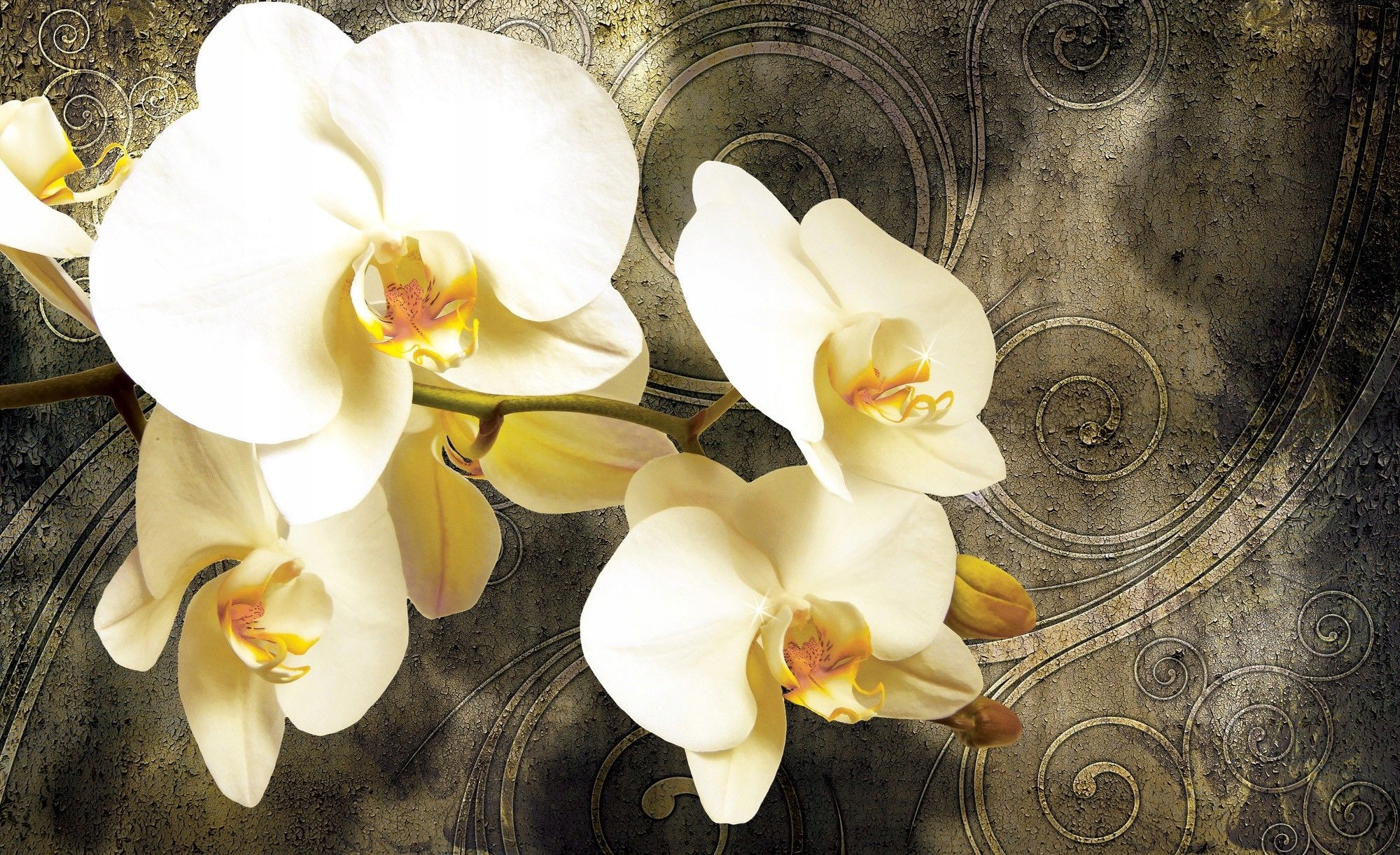 Vliesová fototapeta Bílá Orchidej Elegance a klid 350x250 lepidlo