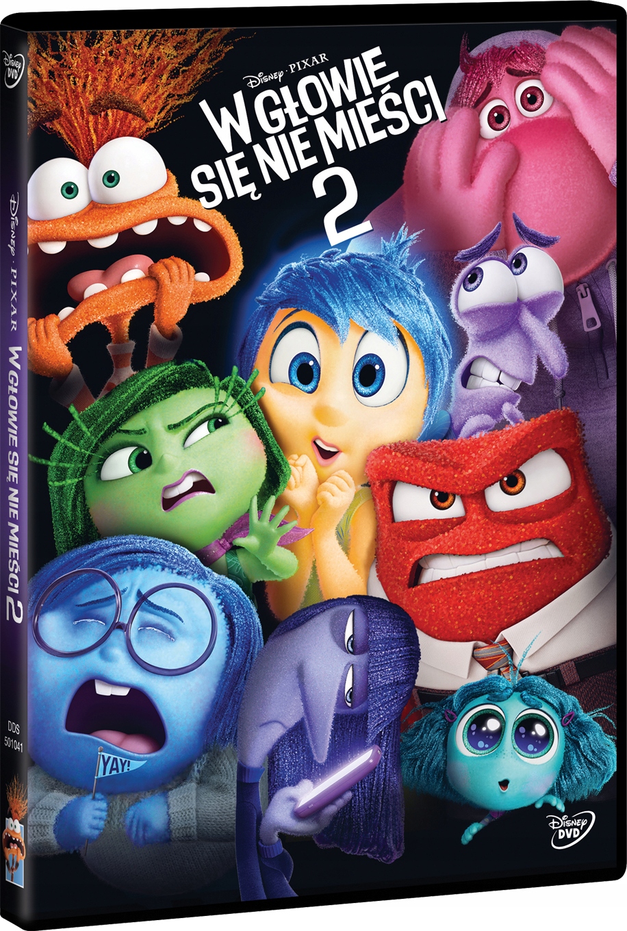 W Głowie Się Nie Mieści 2 (DVD)