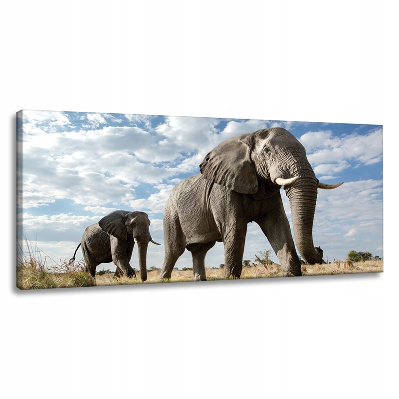 Obraz na plátně Velké šedé slony Afrika Příroda 120x60 cm