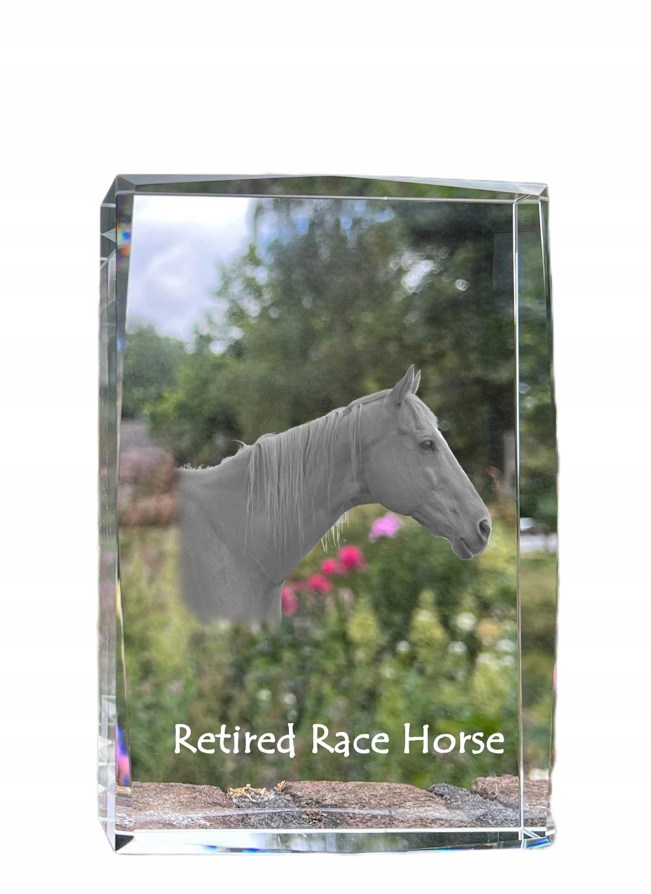Kôň Retired Race Horse foto v kryštáli, suvenír, trofej poďakovanie