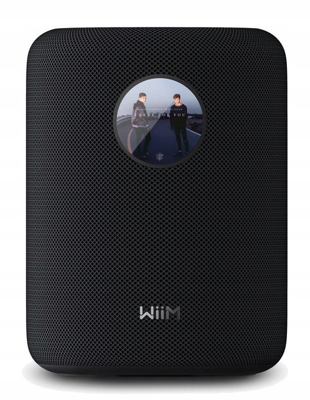 WiiM Sound Głośnik bezprzewodowy Wi-Fi Bluetooth 5.3 Czarny