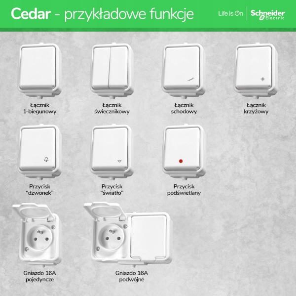 Schneider CEDAR Gniazdo pojedyncze IP44 białe Liczba gniazdek 1 szt.