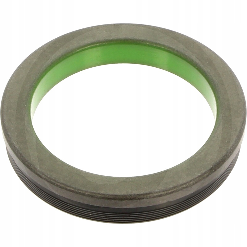 Pierścień uszczelniający Dana Spicer