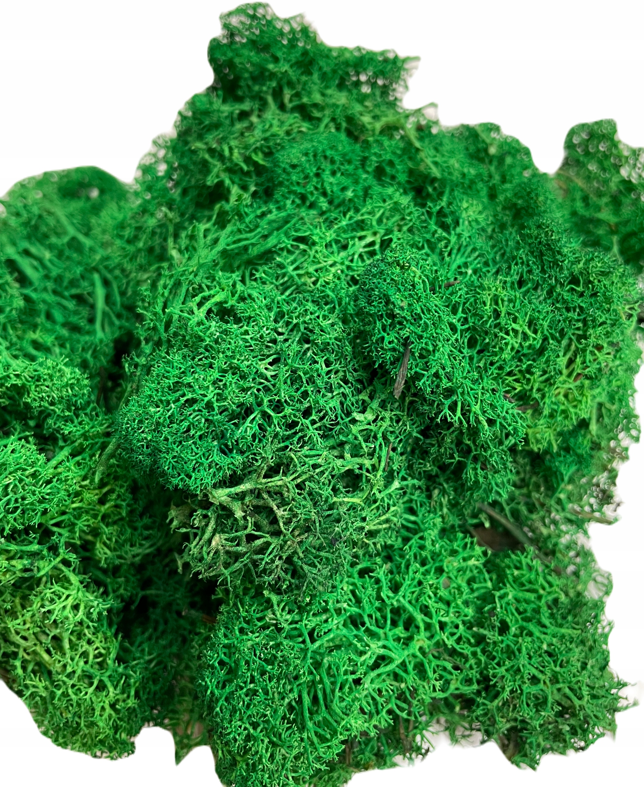 

Mech chrobotek naturalny ciemno-zielony 100gram