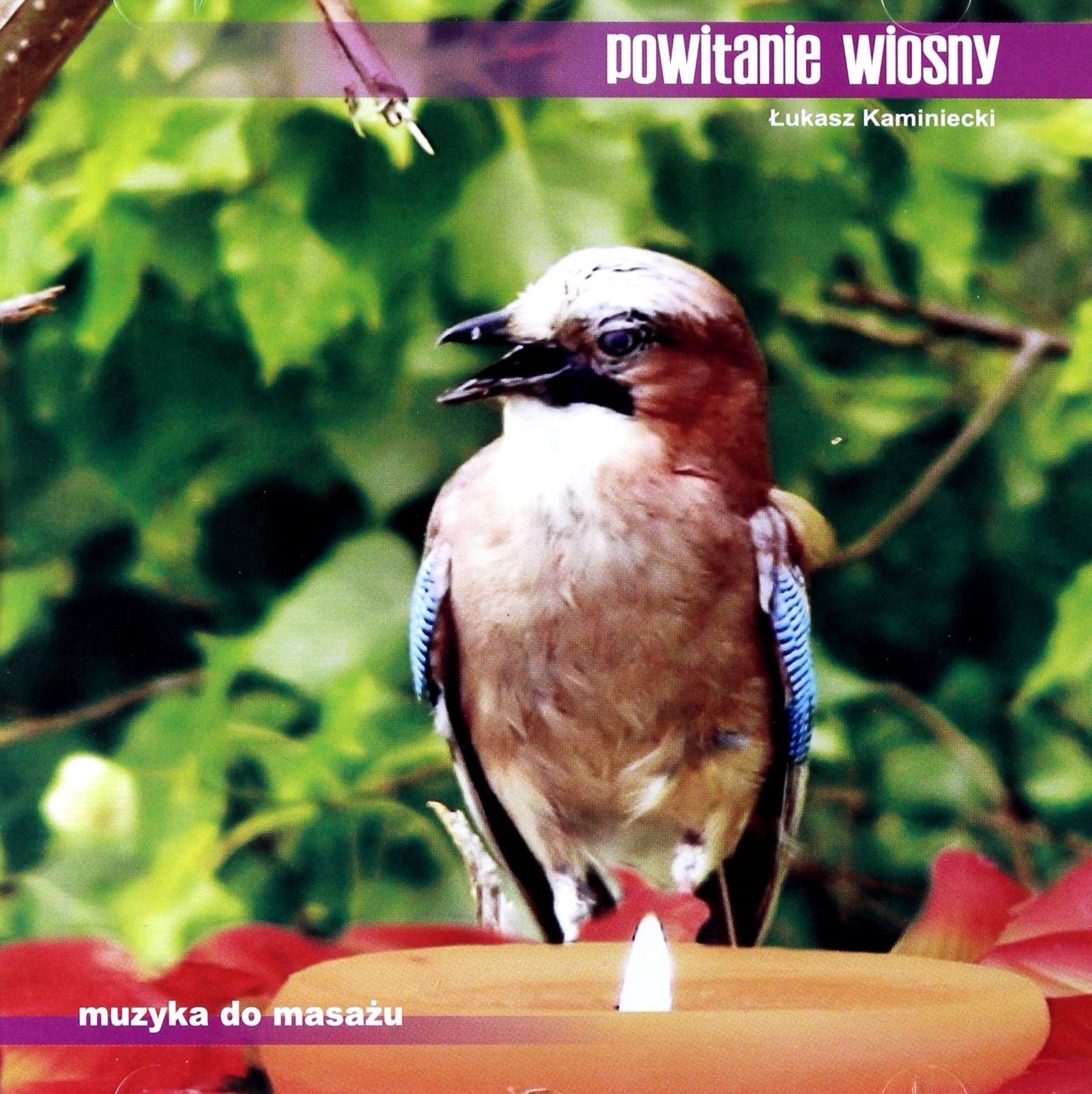 POWITANIE WIOSNY  ŁUKASZ KAMINIECKI 2009 - WZNOWIENIE;