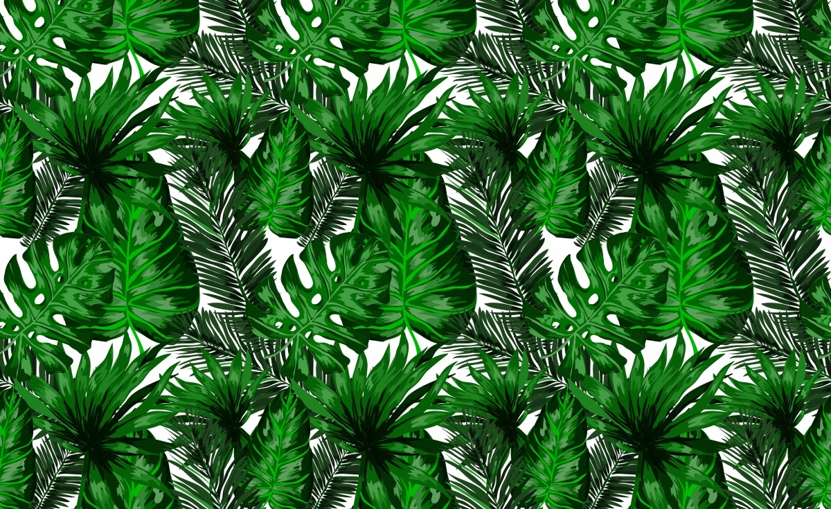 

Fototapeta Flizelinowa Tropikalne liście 416x254