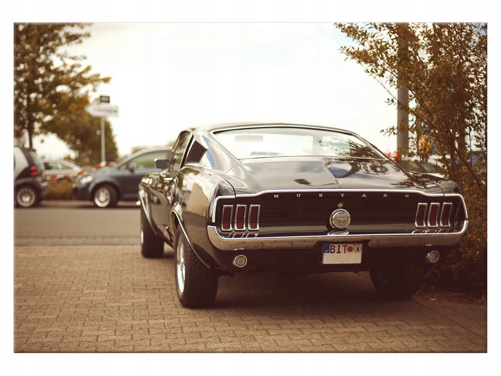 

Obraz Ford Mustang - 55laney69 100x70 906A_1Z