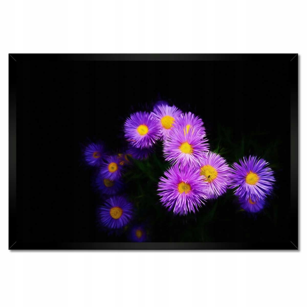 Plakáty v rámu 60x40 Fialové květy aster