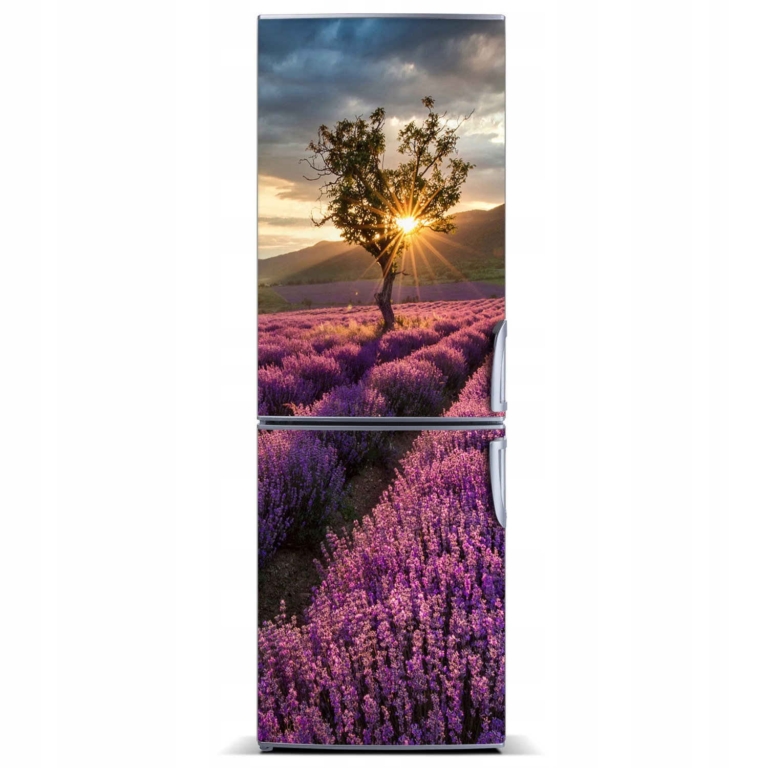 

Naklejka fototapeta na lodówkę Pole lawendy 60x180