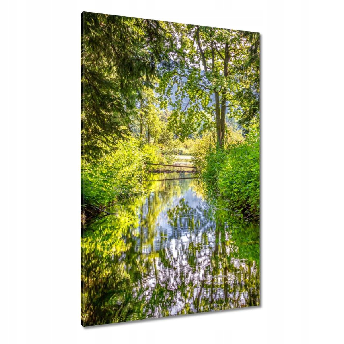 Obrazy 80x120 Rzeczka Krásné počasí