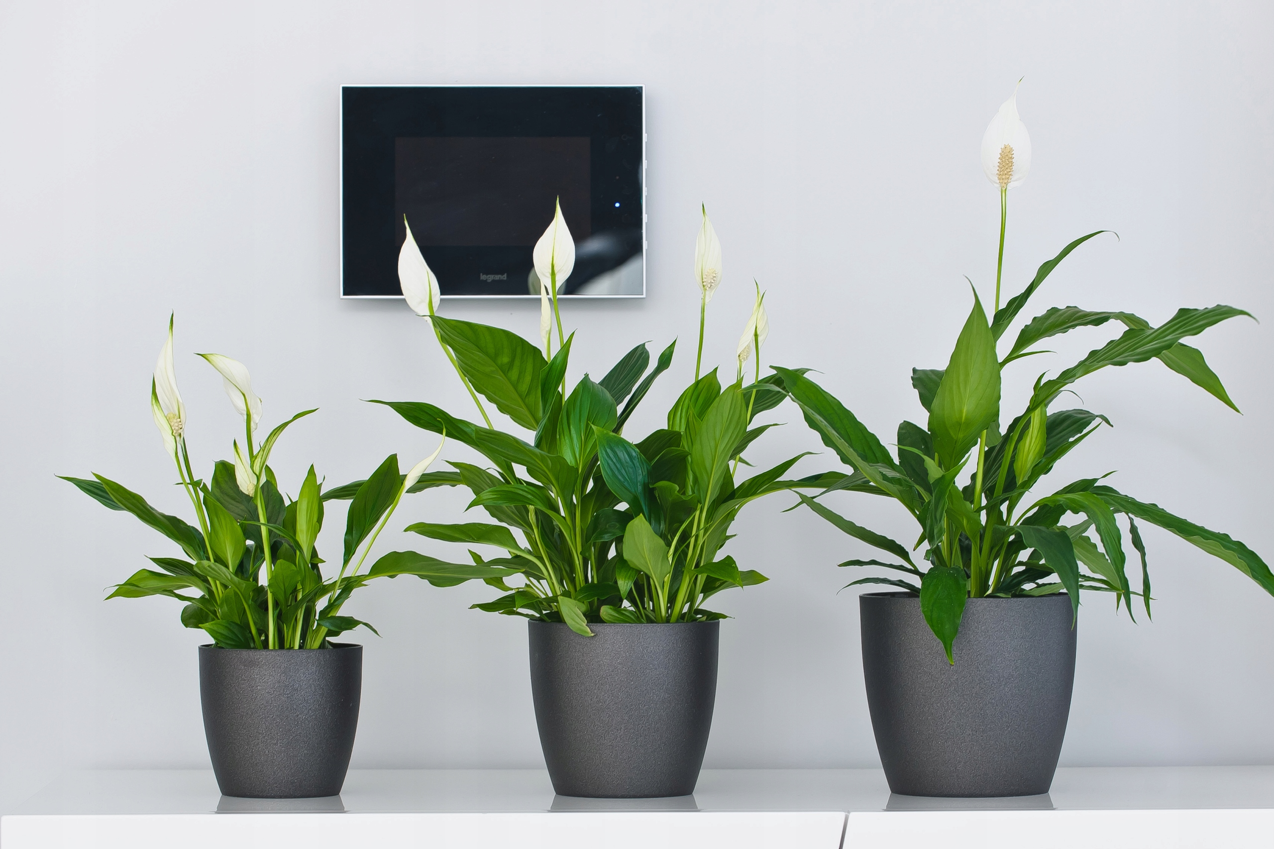 DONICZKA OSŁONKA Z PODSTAWKĄ DONICA KOLORY 16cm Wysokość produktu 14.5 cm