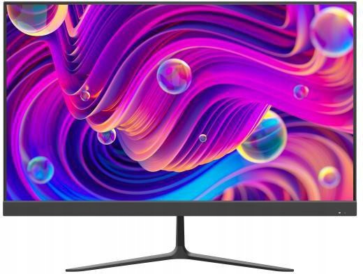 Monitor Hikvision DS-D5024F2-BV2S