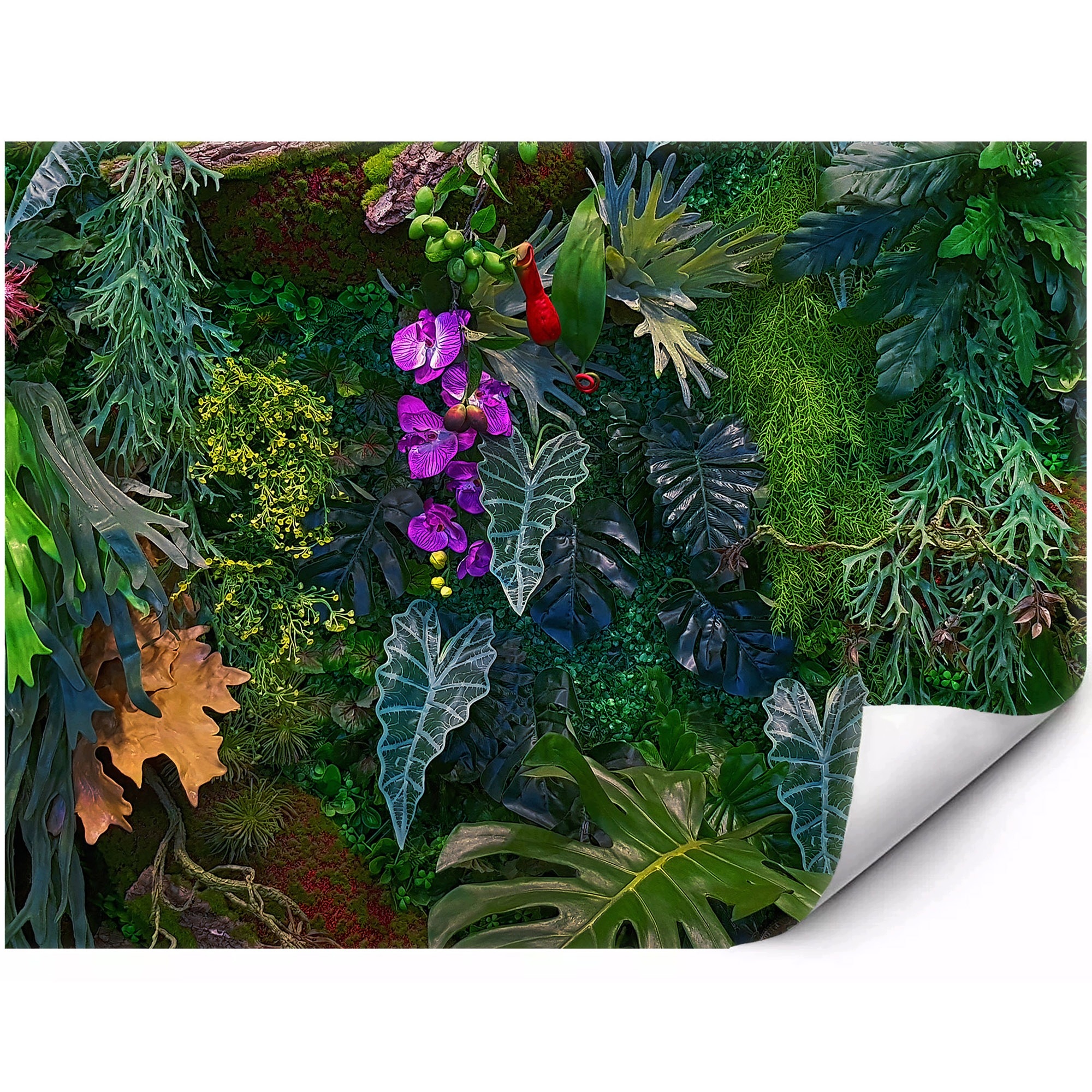 Samoprzylepna Fototapeta Dżungla z orchideami i monsterą 300x210 cm