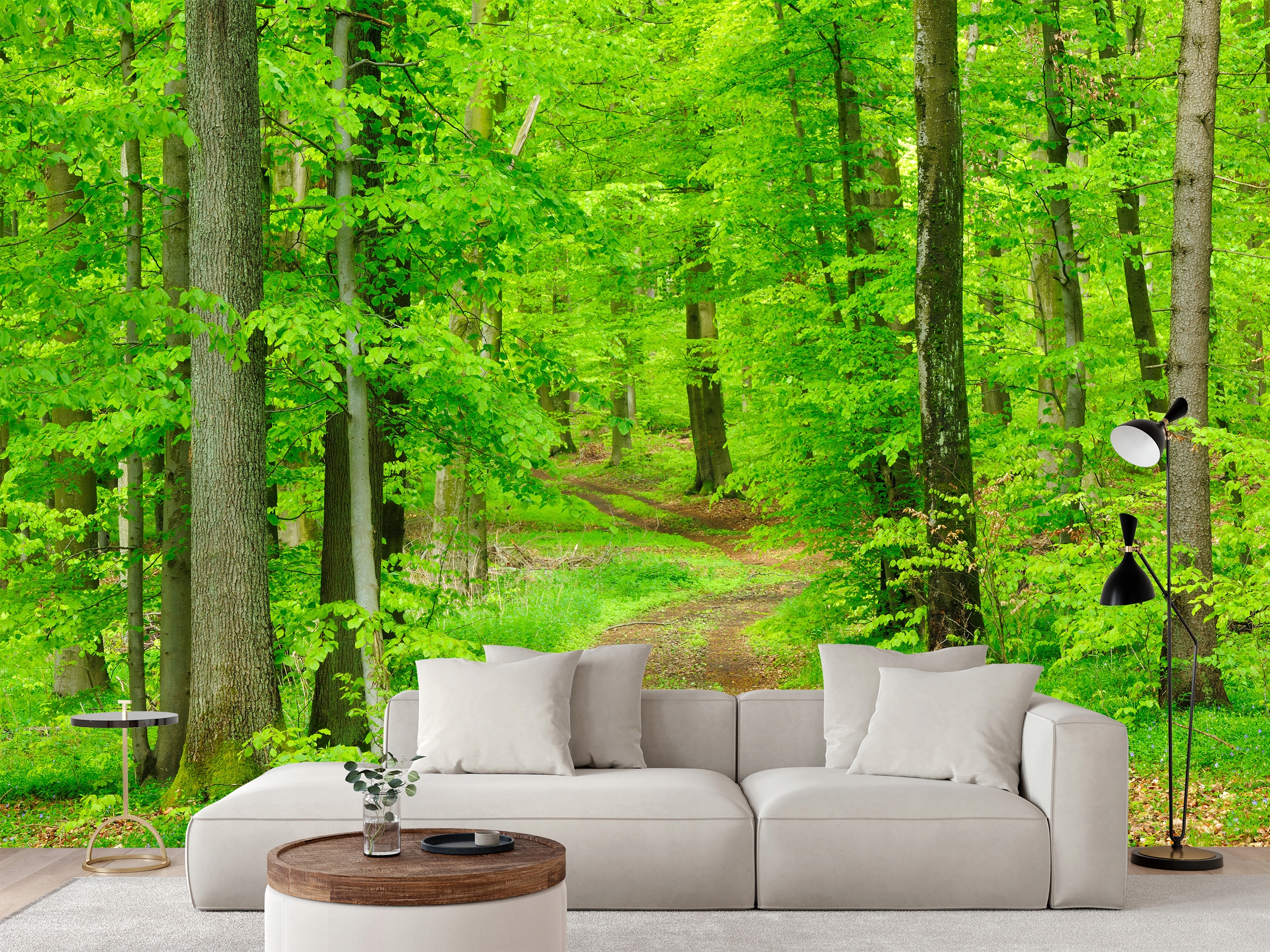 Fototapeta Cesta V Lese 315 x 210 cm