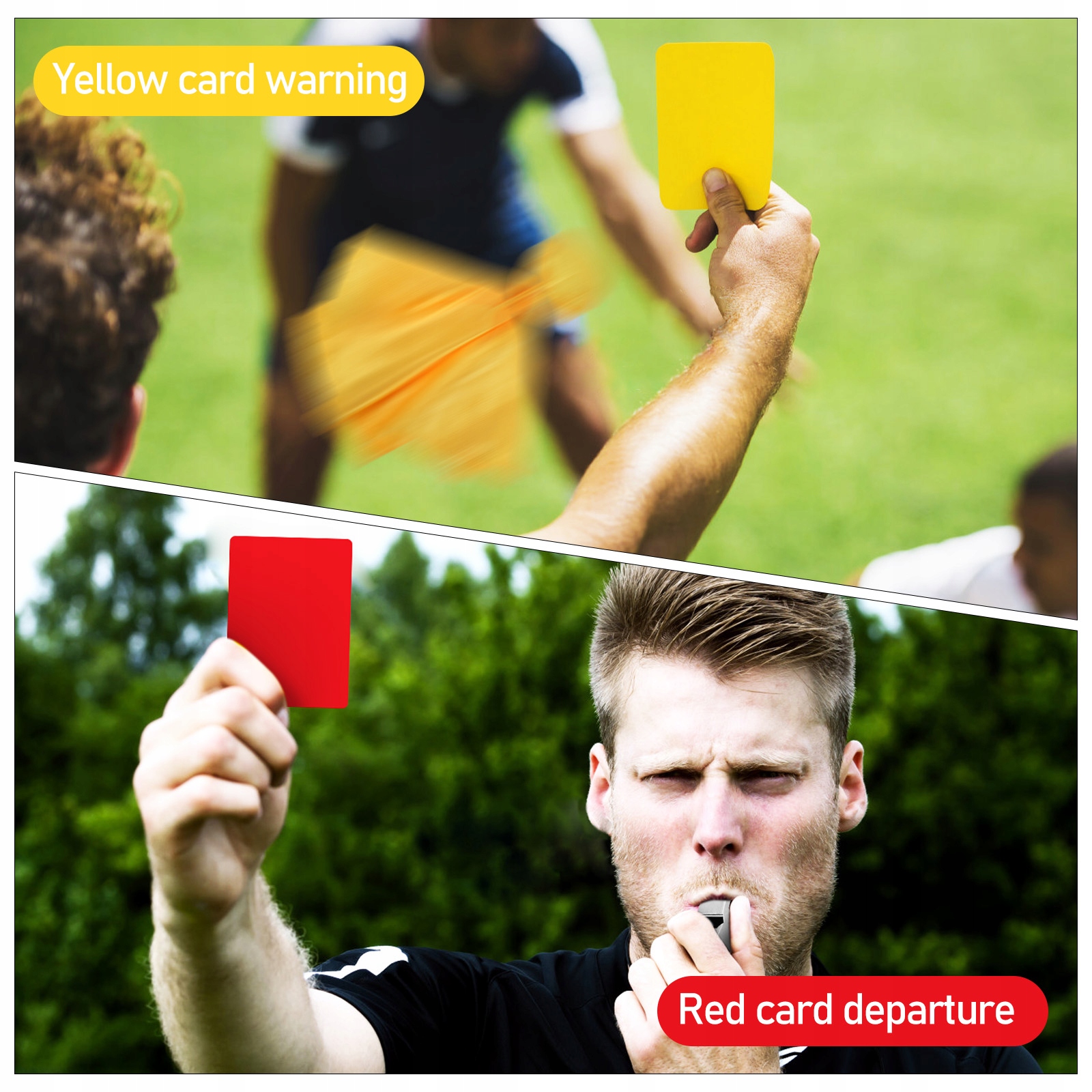 Karty karne sędziego Model 53196612