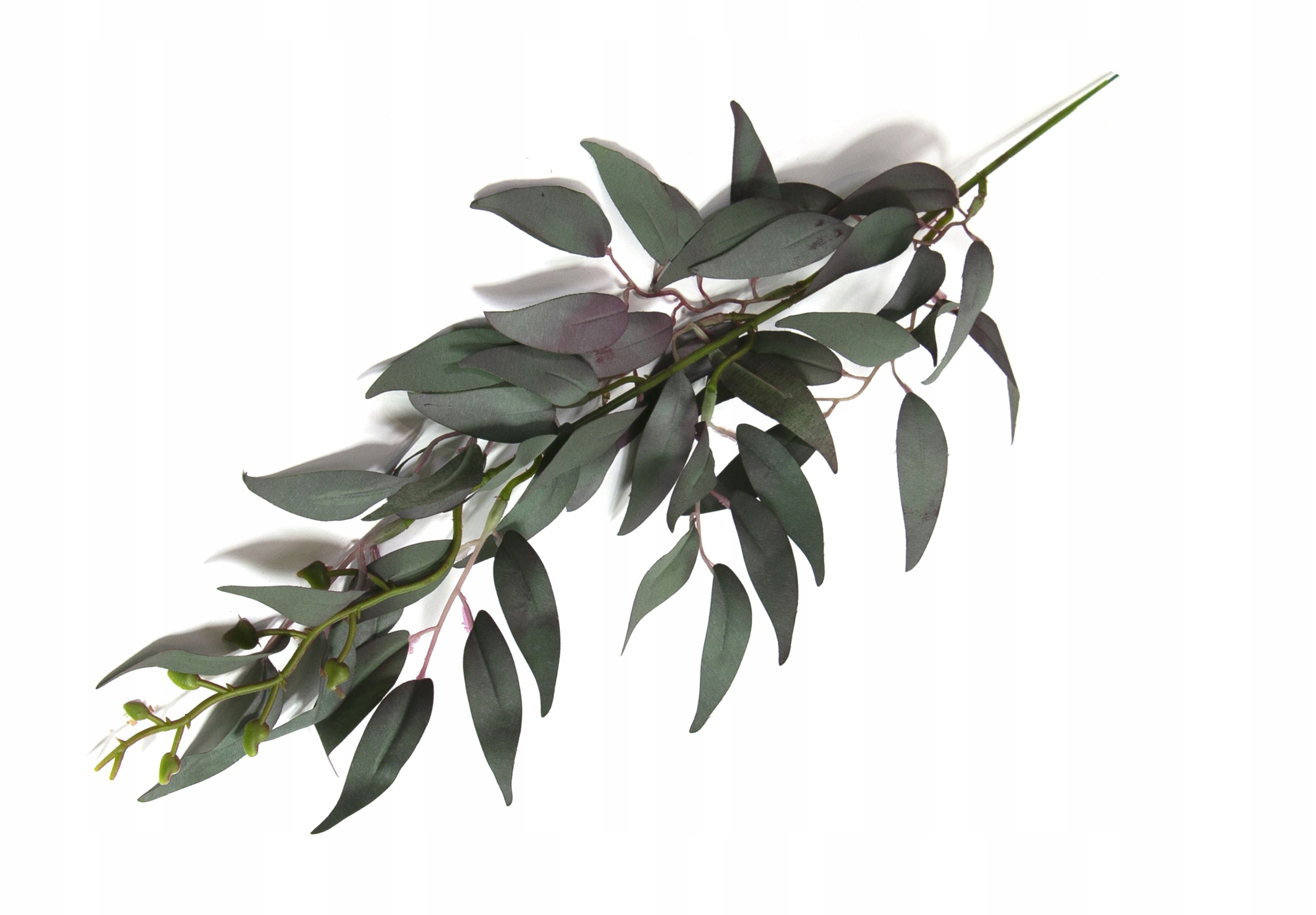 

Ruskus Gałązka Ruskusa Powder Green Violet 61cm