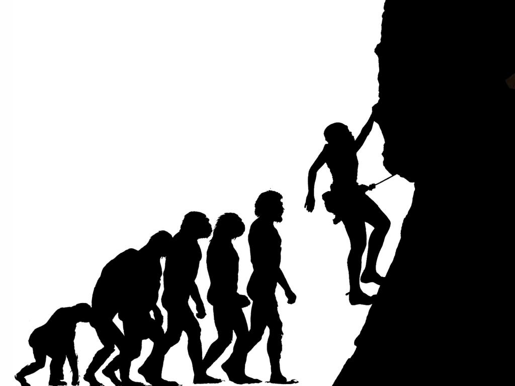 

Damska Alpinista Wspinaczka Góry Climb Wzory w5a