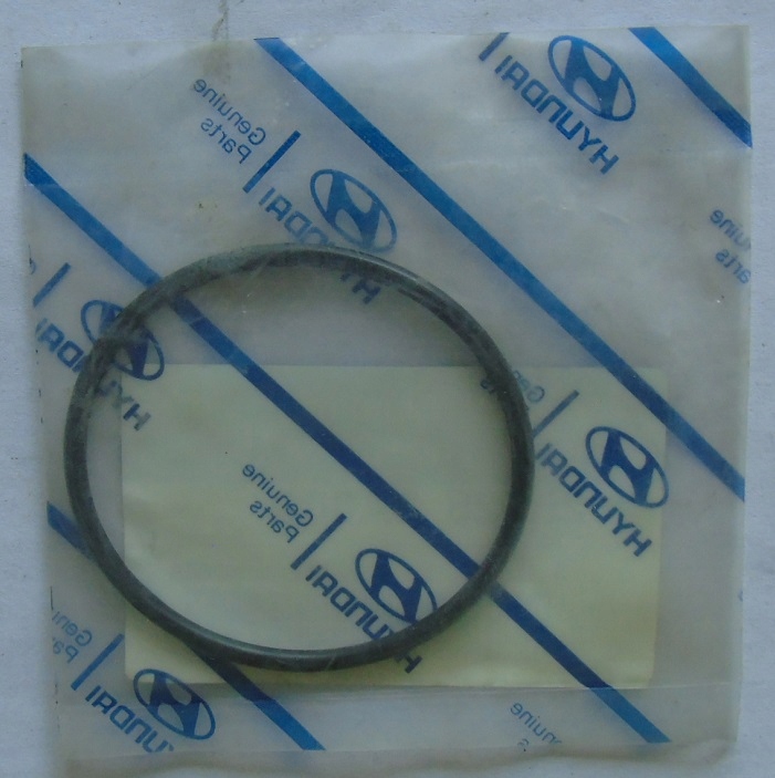 O-ring RIO
